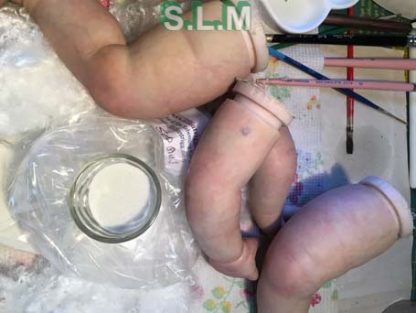 ARTHUR   reborn baby - Image 11