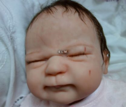 CAROLE   reborn baby - Image 29
