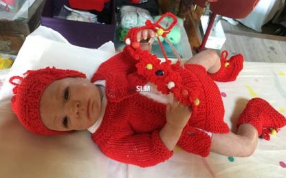SOPHIE  (ADOPTED by  a lovely Mother in U.K. ) - Image 29