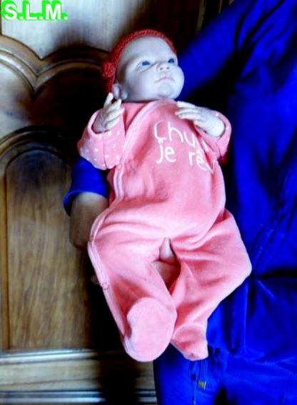 NEVAEH             reborn baby - Image 15