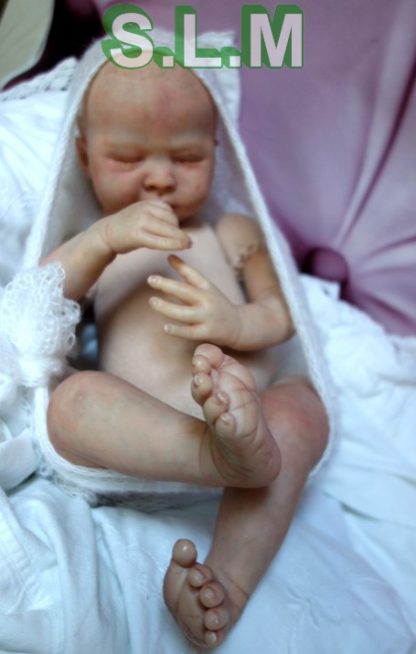 LIAM   reborn baby - Image 14