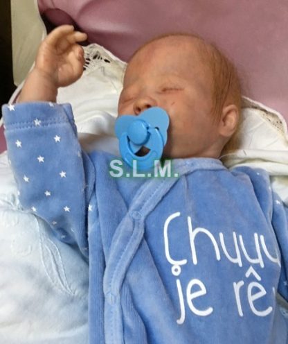 LIAM   reborn baby - Image 44
