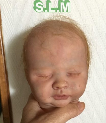 LIAM   reborn baby - Image 24