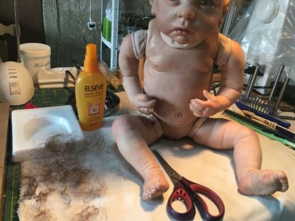 CHLOE        with COA  - Adopted  :   U.K. - Image 18