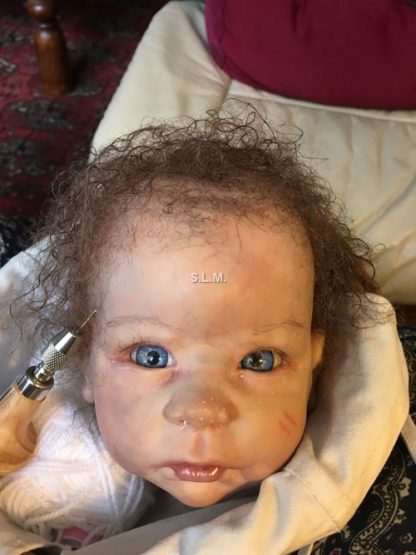 CHLOE        with COA  - Adopted  :   U.K. - Image 16