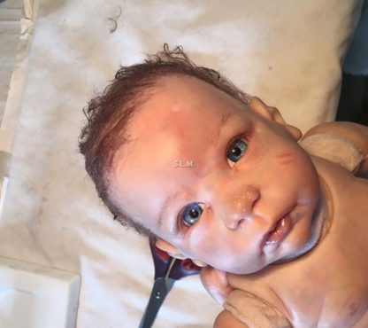 CHLOE        with COA  - Adopted  :   U.K. - Image 14