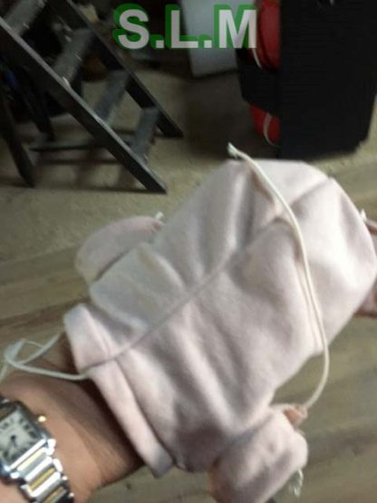 CHLOE        with COA  - Adopted  :   U.K. - Image 2