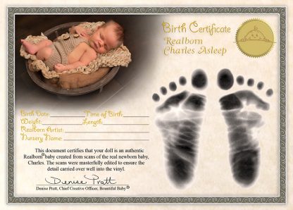 CHARLES    (RealBorn , sleeping  -   for custom order) - Image 3