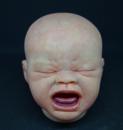 QUINTON ( custom order for U.K. ) ADOPTED - Image 11