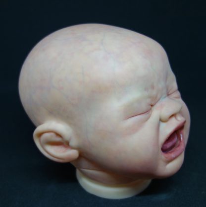 QUINTON ( custom order for U.K. ) ADOPTED - Image 12
