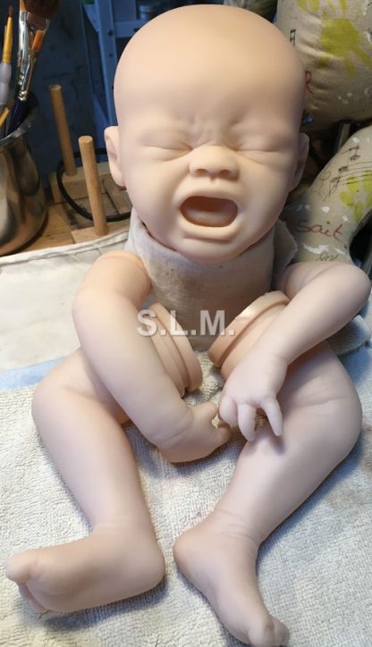 QUINTON ( custom order for U.K. ) ADOPTED - Image 2
