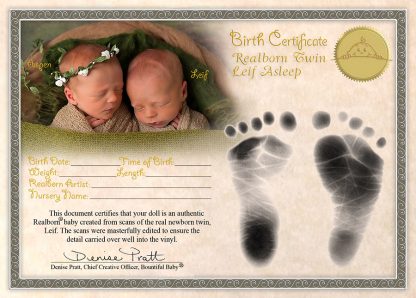 Twins  Leif and  Aspen ( REALBORNS) - Image 5