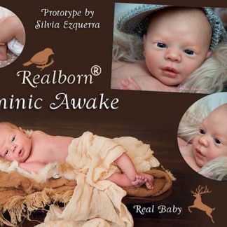 DOMINIC awake- REALBORN