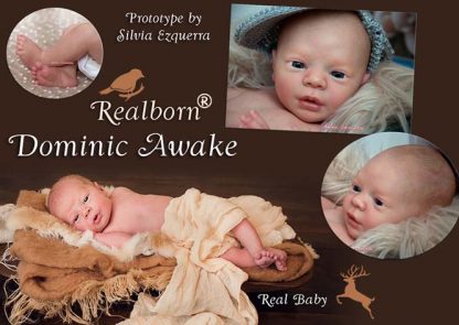 DOMINIC awake- REALBORN