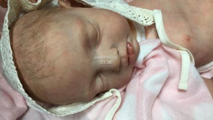 ZOEY    (Adopted Holland ) - Image 32