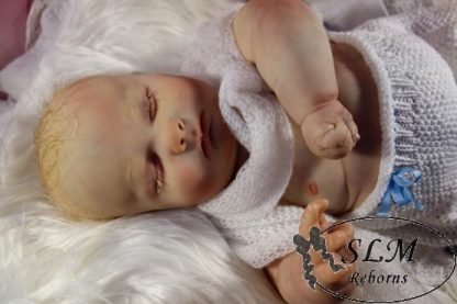 JOSEPH   3months old..with COA - Image 28