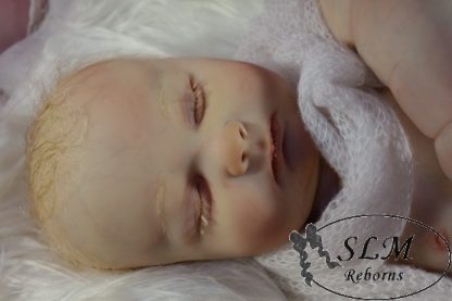 JOSEPH   3months old..with COA - Image 29