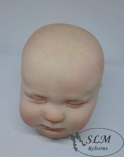 JOSEPH   3months old..with COA - Image 18