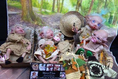 BEESLEY ELF - adopted  UK - - Image 15