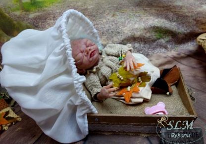 BEESLEY ELF - adopted  UK - - Image 32