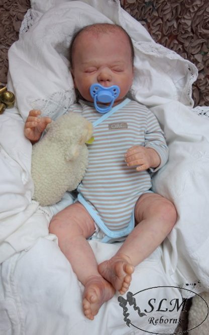 HARPER BOY - ORION  (adopted U.K.  ) - Image 19