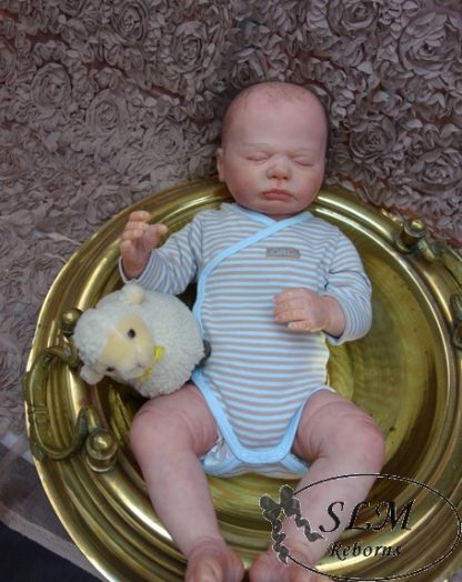 HARPER BOY - ORION  (adopted U.K.  ) - Image 17