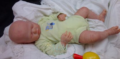HARPER BOY - ORION  (adopted U.K.  ) - Image 2