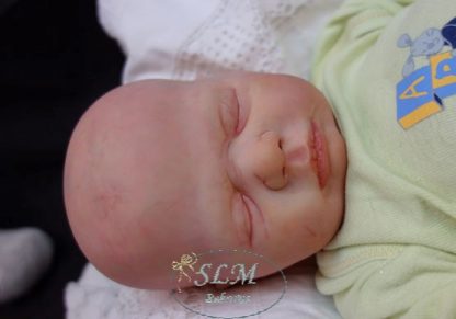 HARPER BOY - ORION  (adopted U.K.  ) - Image 3
