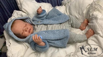 HARPER BOY - ORION  (adopted U.K.  ) - Image 20
