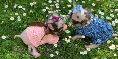 PIGLET with brown eyes - Image 9
