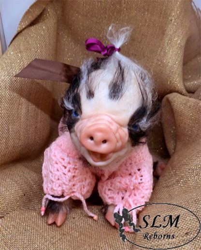PIGLET fawn - blue eyes - Image 11