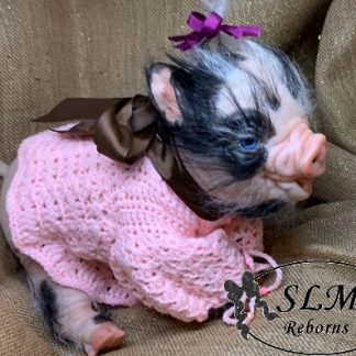PIGLET fawn - blue eyes