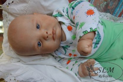 JOSEPH AWAKE - Image 4