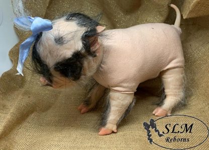 PIGLET with brown eyes - Image 3