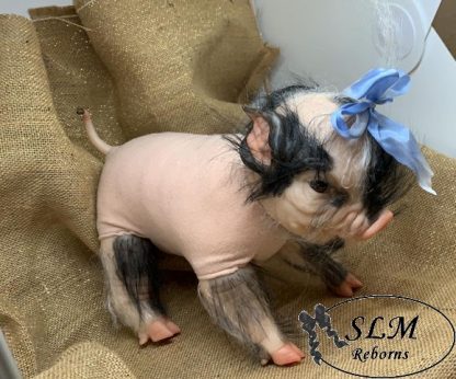 PIGLET with brown eyes - Image 4