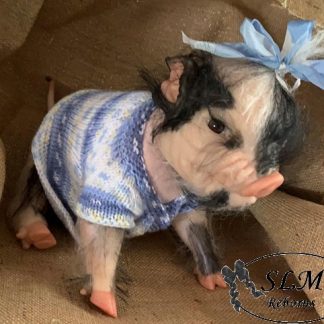 PIGLET with brown eyes