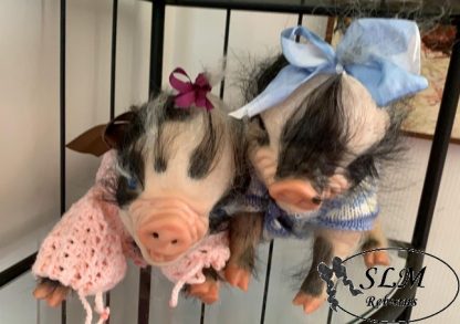 PIGLET with brown eyes - Image 5