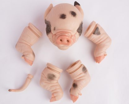 PIGLET with brown eyes - Image 8