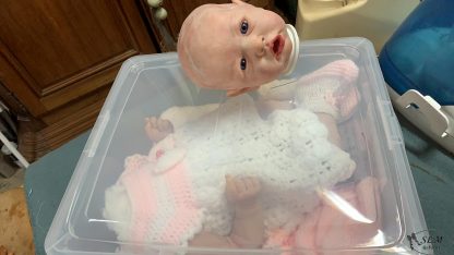 SOPHIA ELIZABETH (saskia kit) adopted U.S.A. - Image 2